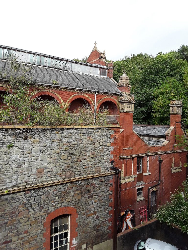 External
view of the side of the baths, showing extensive foliage growing out of the
wall, and many of the panes of roof glass broken