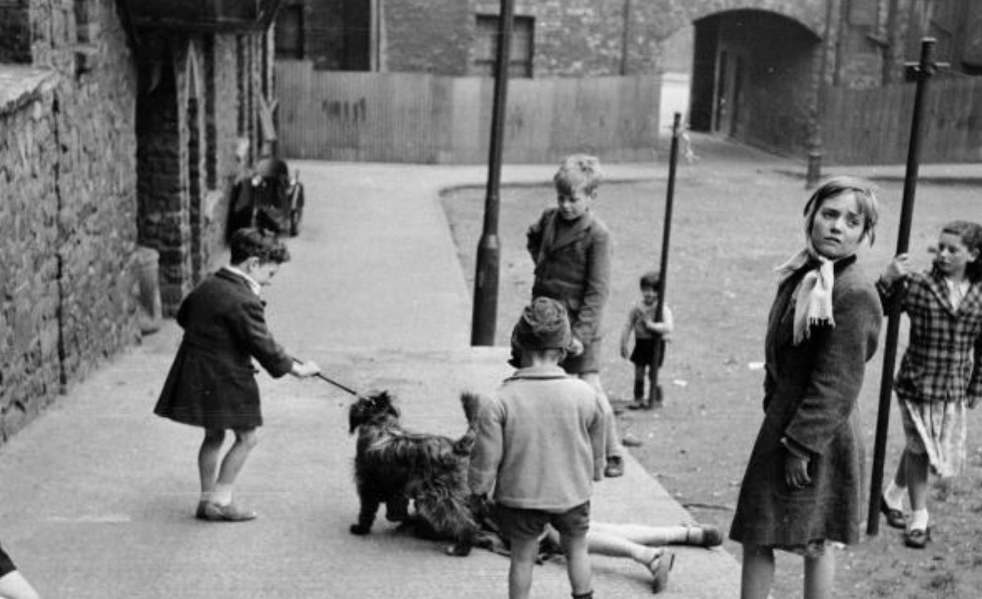 Photo of children playing in the street with adog